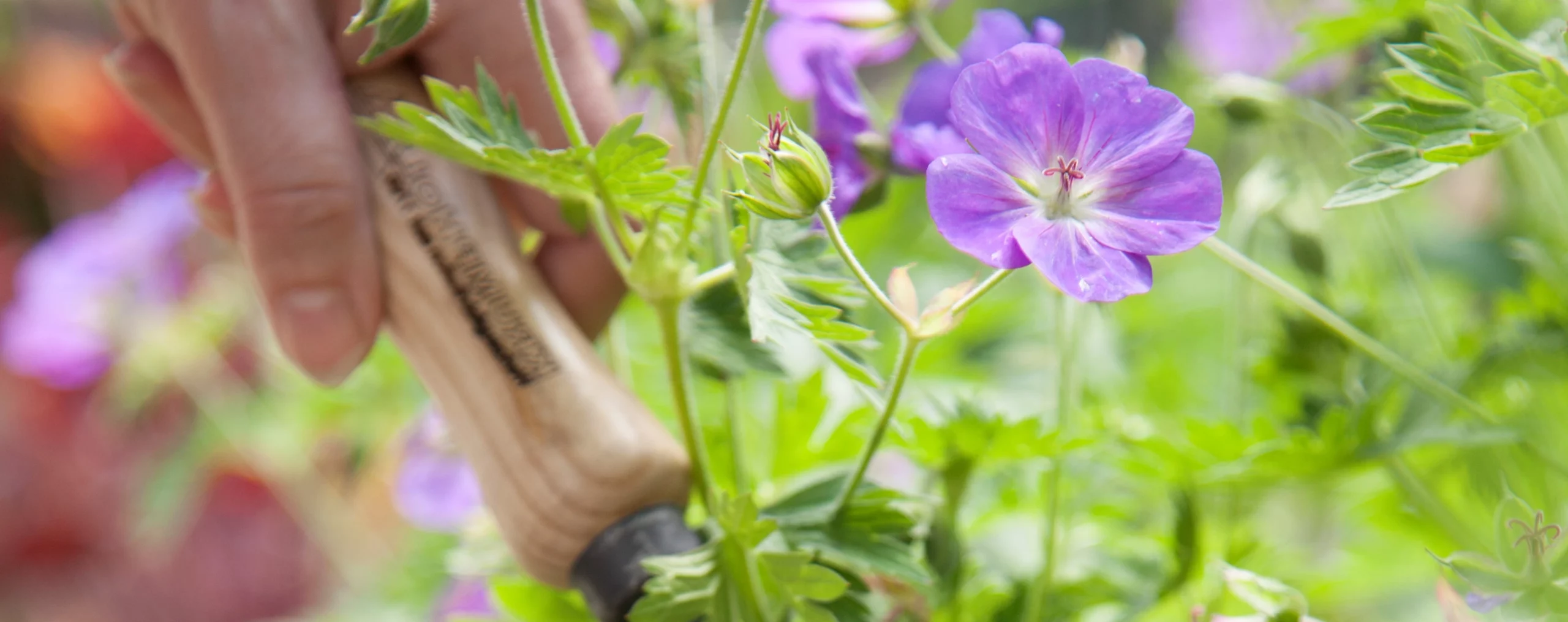 Hochwertige Produkte Haus und Garten