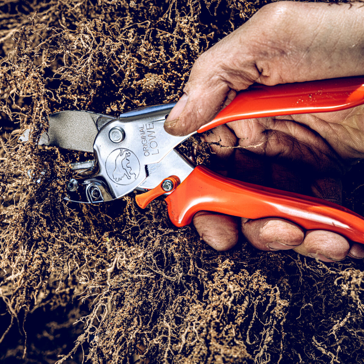 Secateurs Lion 1