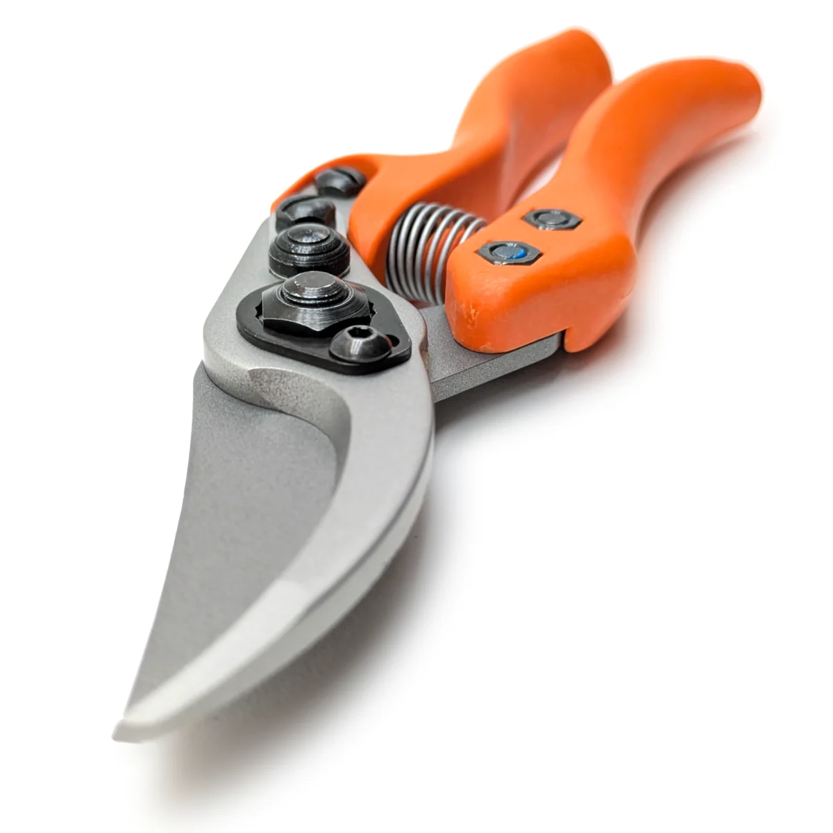 Löwe 11 Precision Clean Cut für Frauen