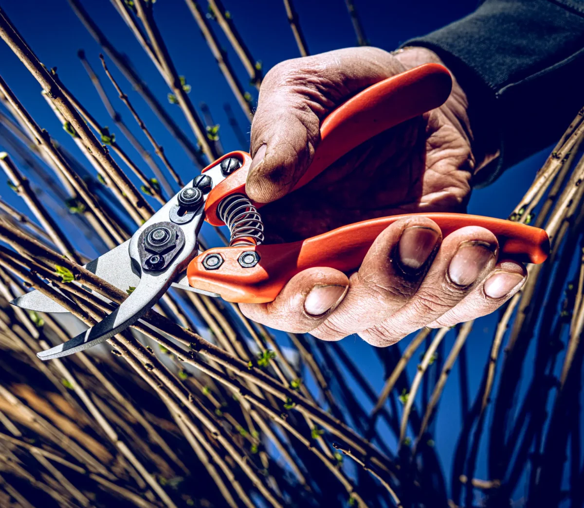 Löwe 11 Precision Clean Cut naistele