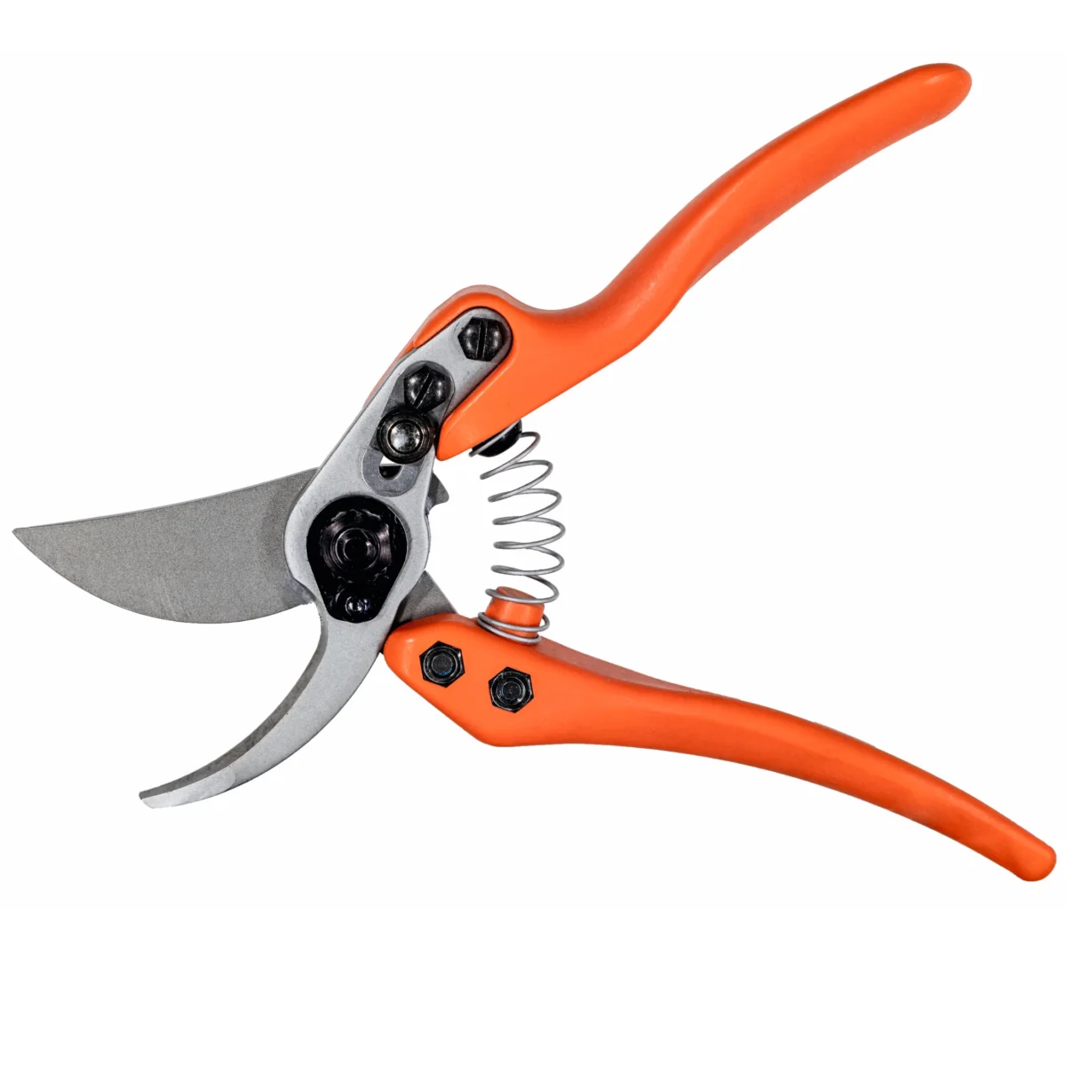 Löwe 11 Precision Clean Cut naistele