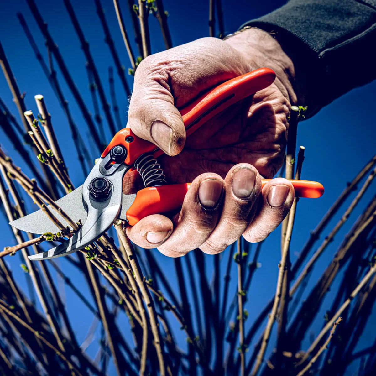 Aiakäärid Löwe 14.107 Economic Clean Cut väiksematele kätele