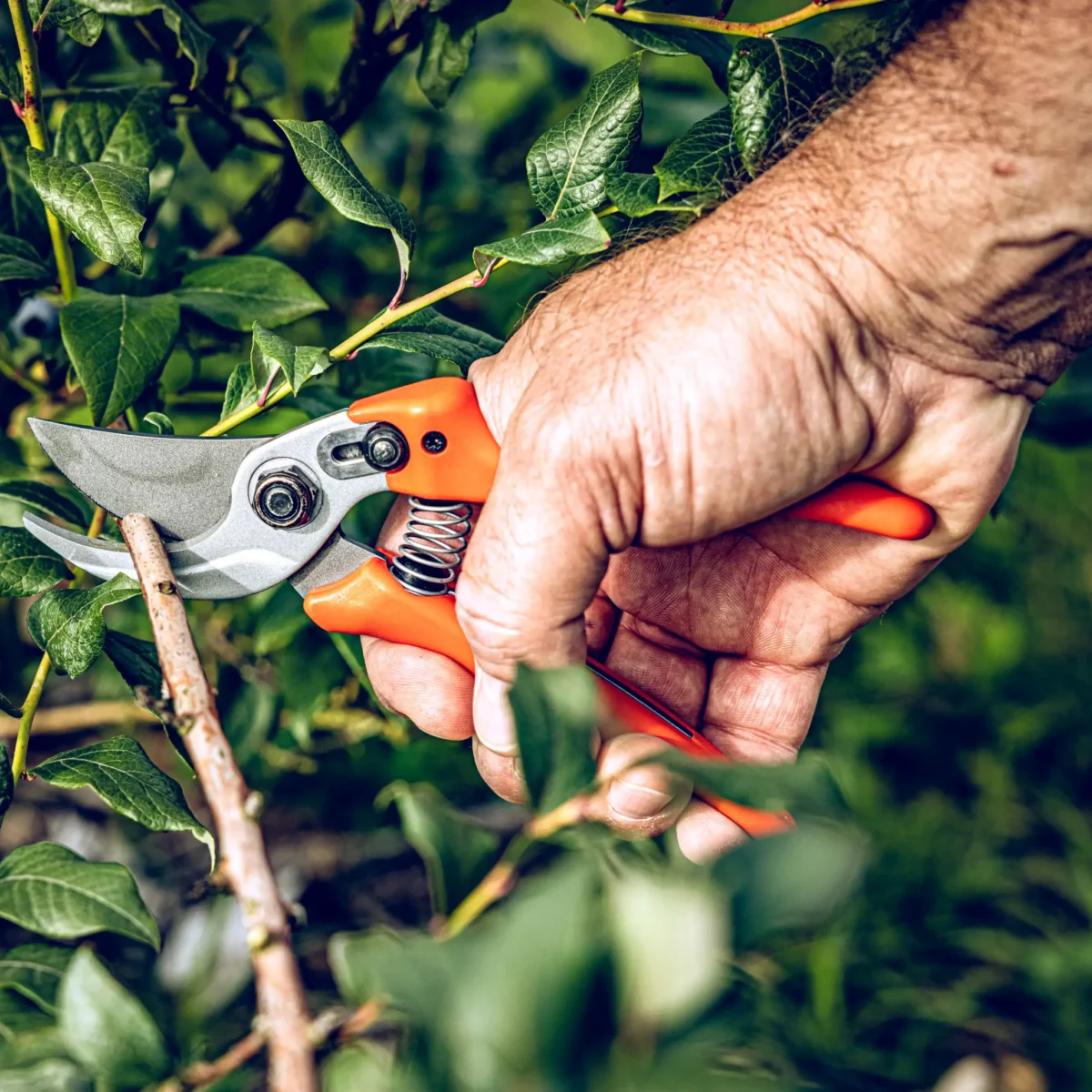 Aiakäärid Löwe 14.107 Economic Clean Cut väiksematele kätele