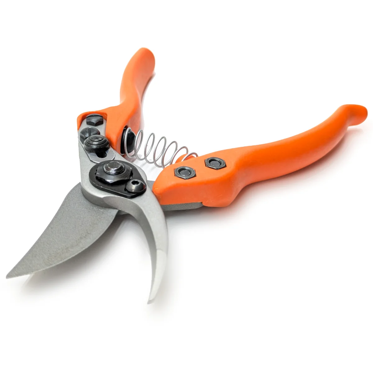 Löwe 12 Precision Clean Cut väike oksakäärid naistele