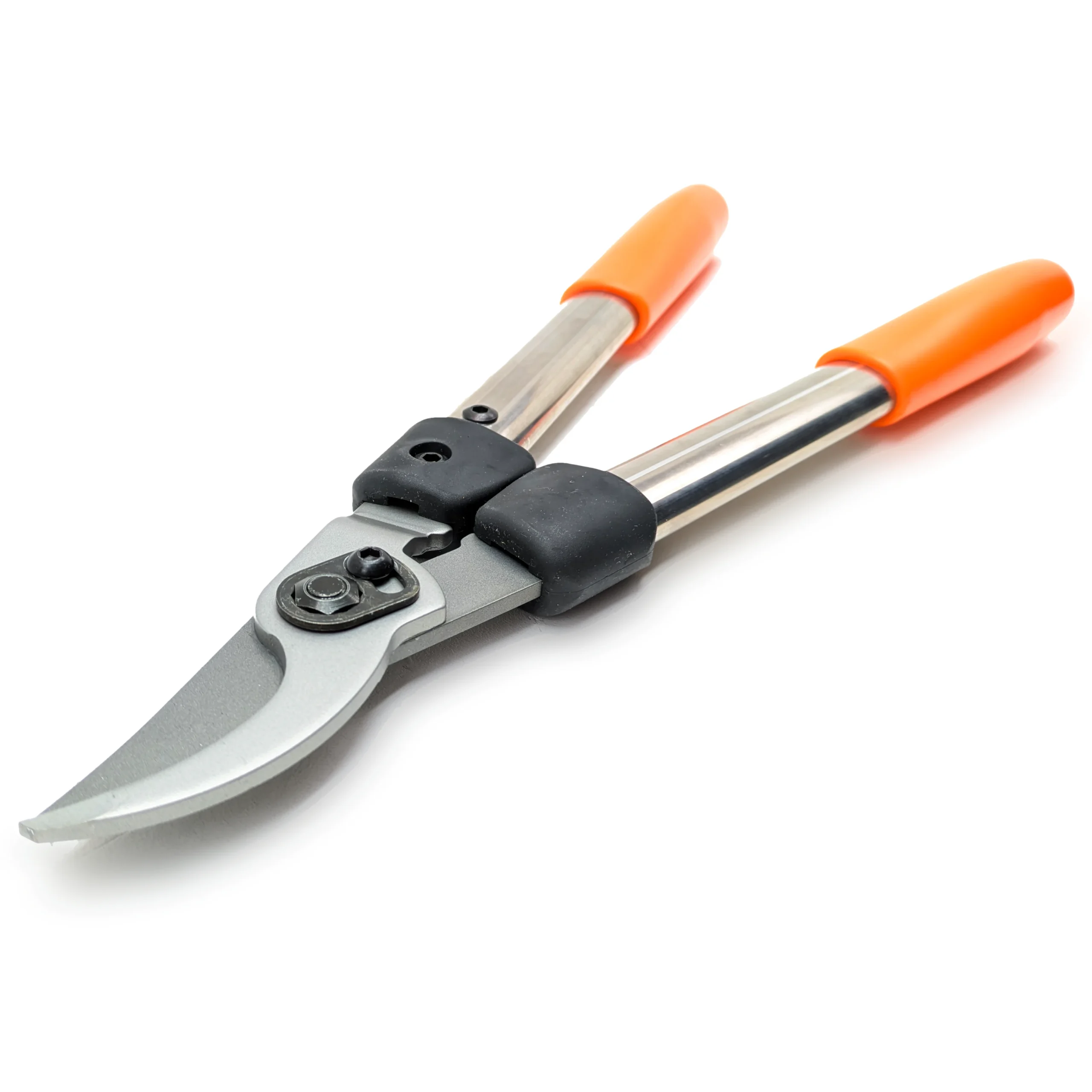 Löwe Astschere 31 40 cm klein